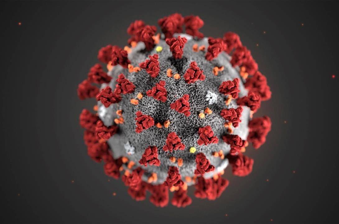 In this illustration provided by the Centers for Disease Control and Prevention (CDC) in January 2020 shows the 2019 Novel Coronavirus (2019-nCoV). This virus was identified as the cause of an outbreak of respiratory illness first detected in Wuhan, China. The new coronavirus outbreak is affecting Canadians’ March break travel plans. THE CANADIAN PRESS/AP-CDC via AP, File