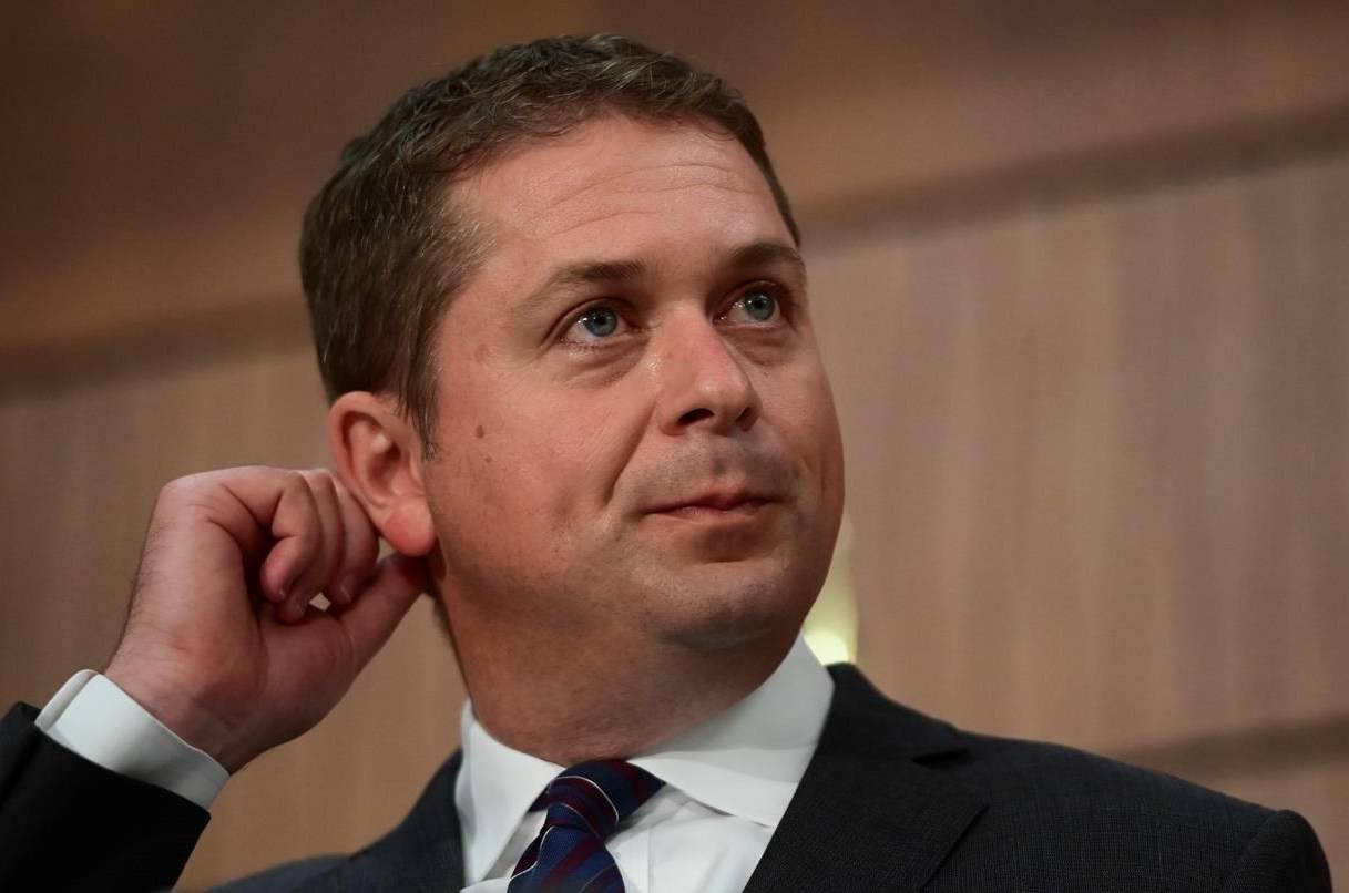 New Tory leader must build a strong team in Commons and for the campaign: Scheer