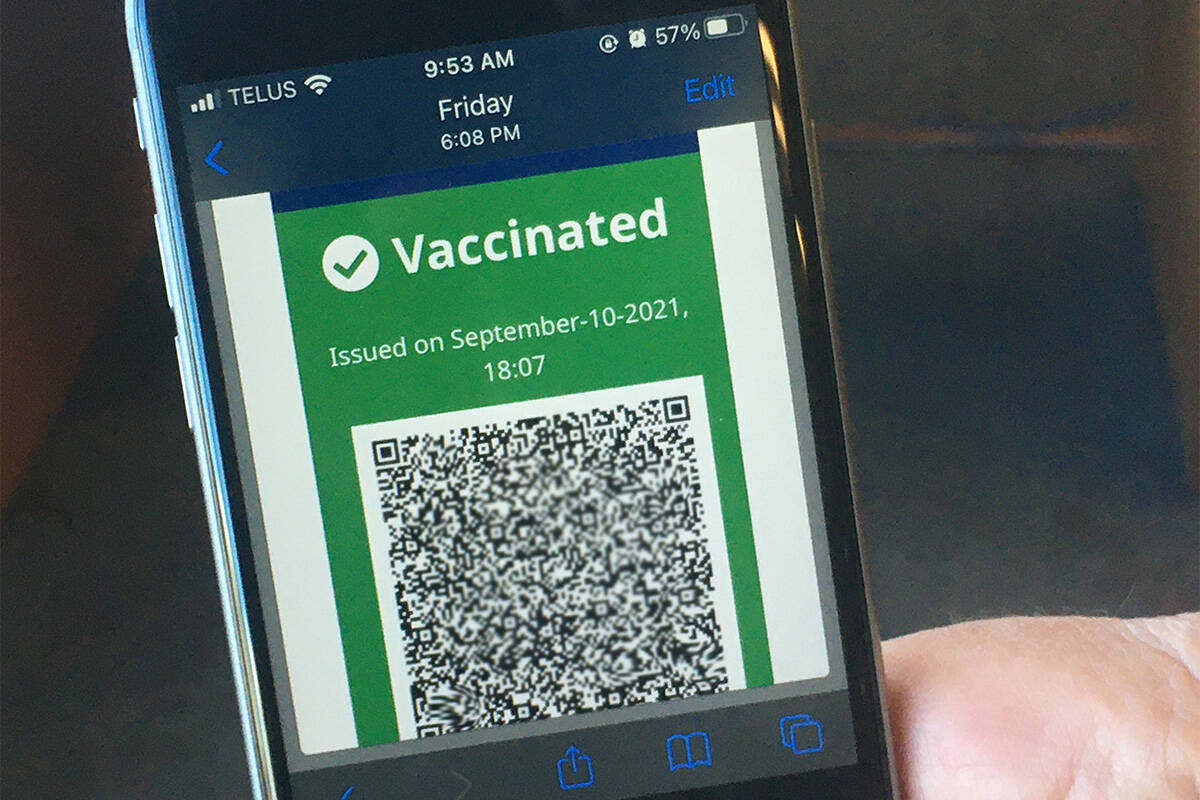 Sidney Business Improvement Area Society (Sidney BIA) has issued a toolkit to help affected downtown businesses in Sidney navigate proof of vaccination requirements. (Black Press Media file photo)