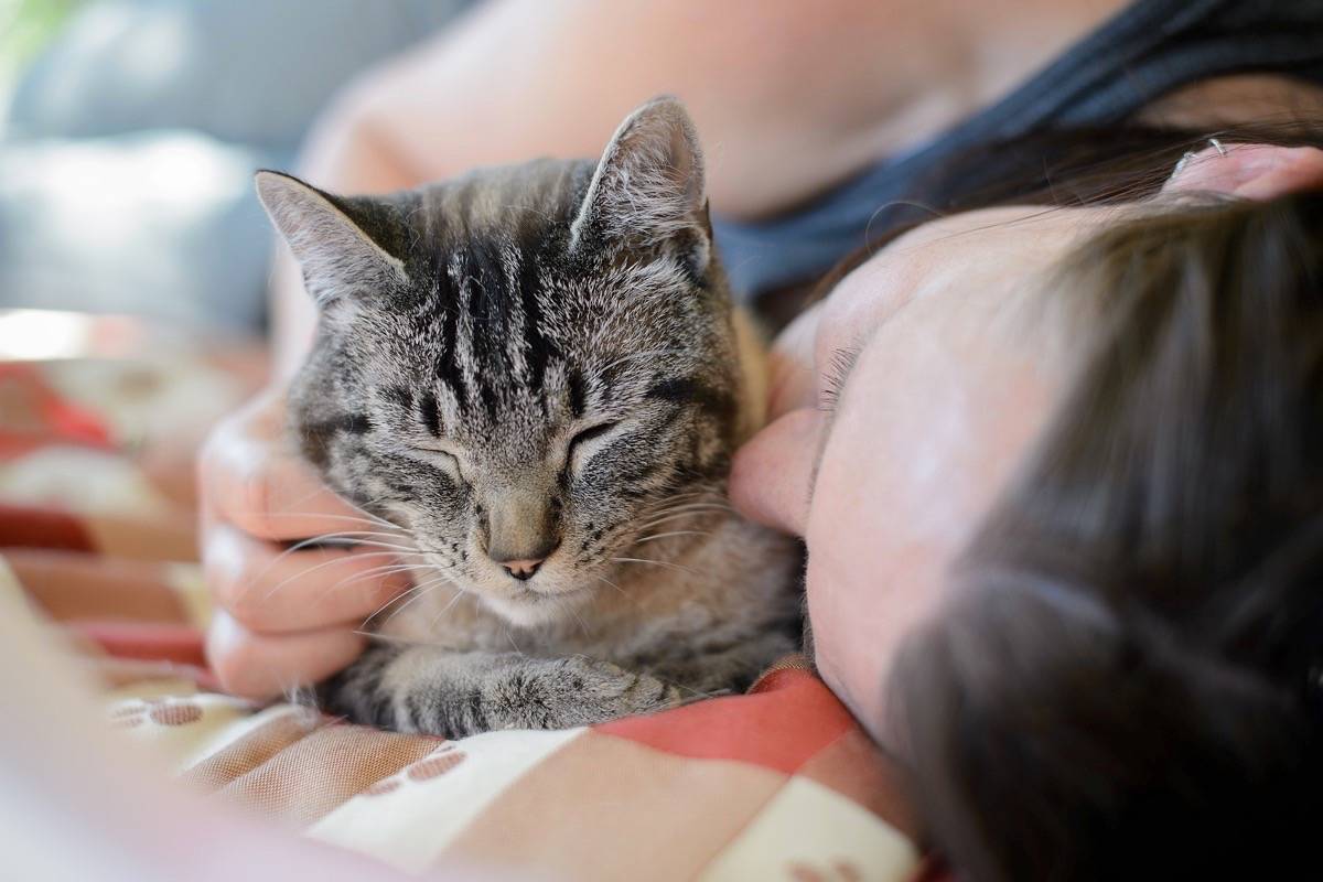 An adopted cat is the best 10 pounds you’ll gain this season