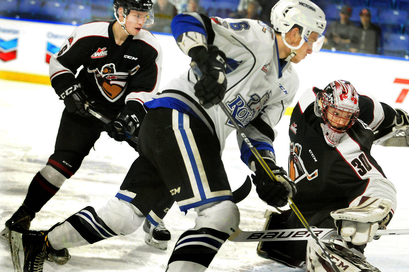 Vancouver Giants stretch win streak to four by crowning Victoria Royals