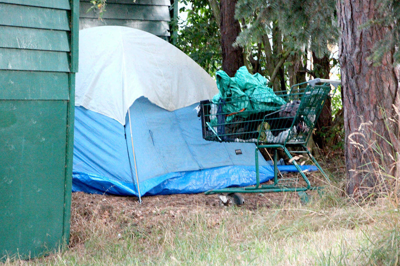 A cart sits in front of a tent pitched in Beacon Hill Park in Summer 2017. (News files)