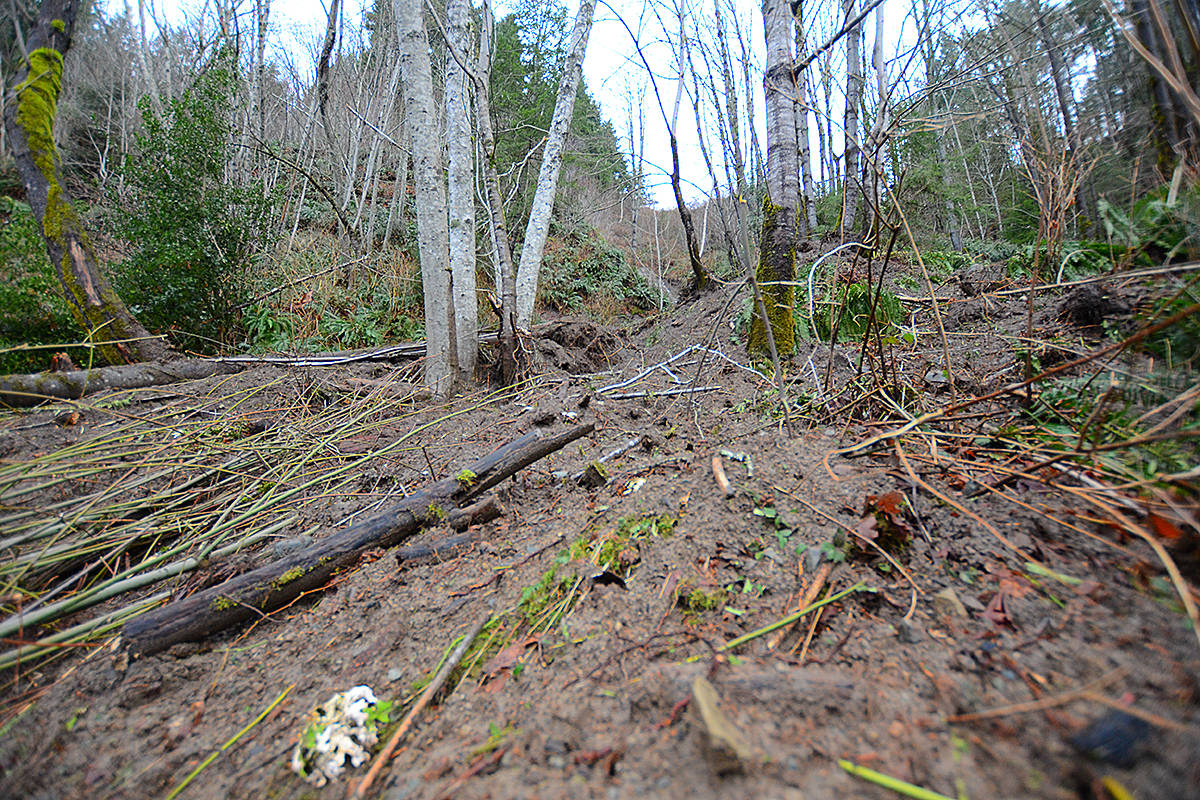 A mudslide cut a swath through the Canyon View Trail west of the pumphouse overnight Sunday or Monday morning. Photo by Alistair Taylor/Campbell River Mirror