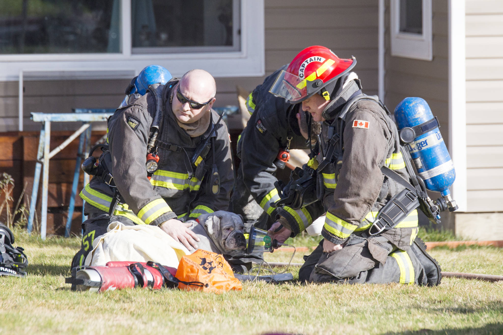 Campbell River firefighters save dog from house fire