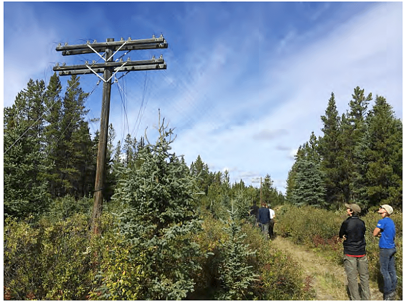 Crews on site for the Southern Lakes Wire Recovery Project in Yukon Territory.