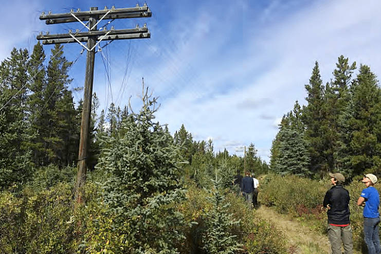 Crews on site in the Yukon for the removal of the 100-year-old Yukon Telegraph line. (Southern Lakes Wire Recovery Project photo)