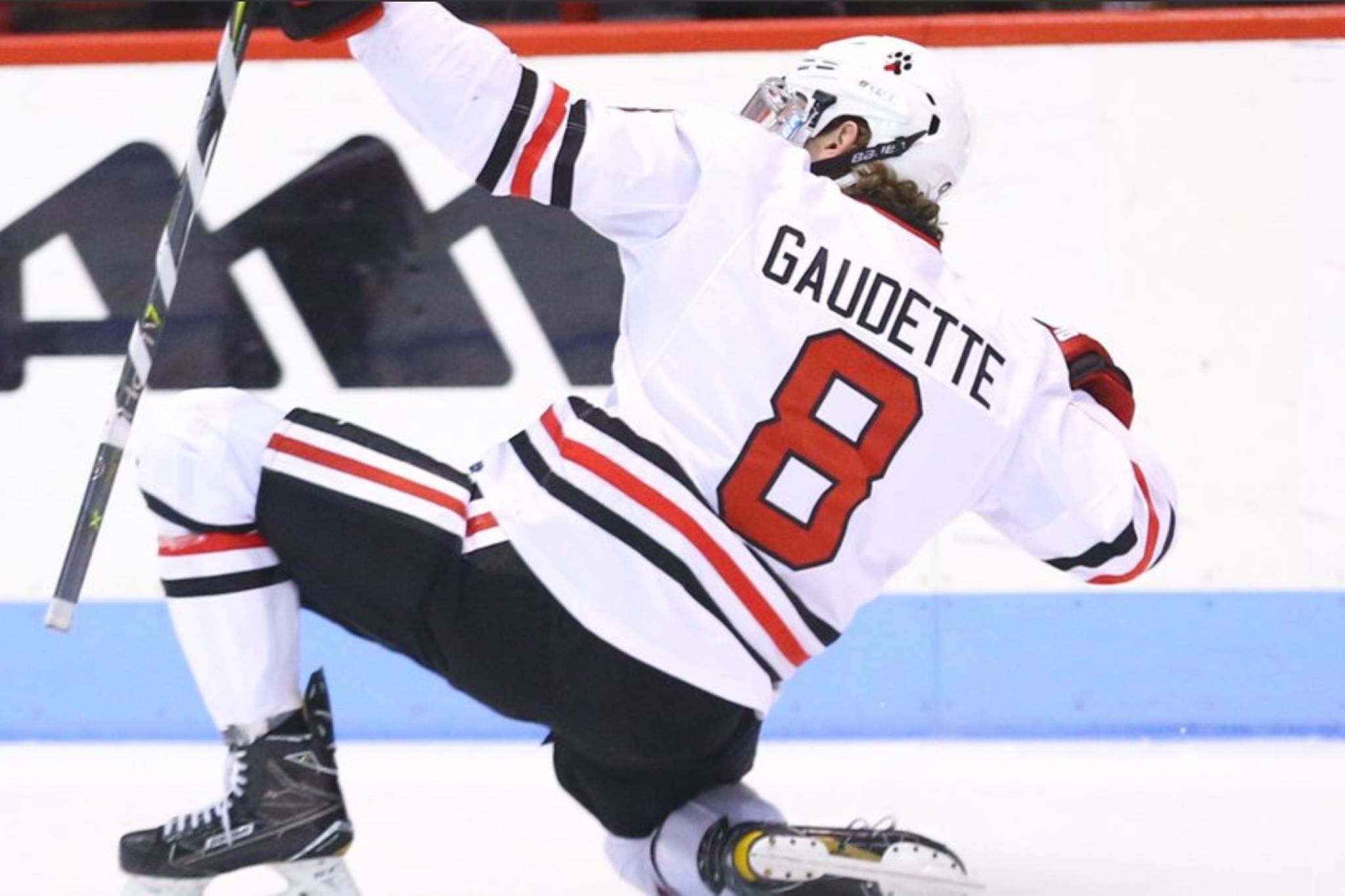Canucks’ prospect Adam Gaudette could join Vancouver before the end of the season. (@GoNUmhockey/Twitter)
