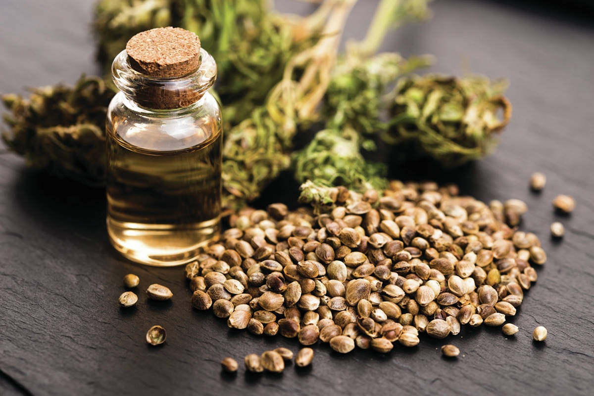 Cannabis is used both medicinally and recreationally. Photo: VICTORIA NEWS.