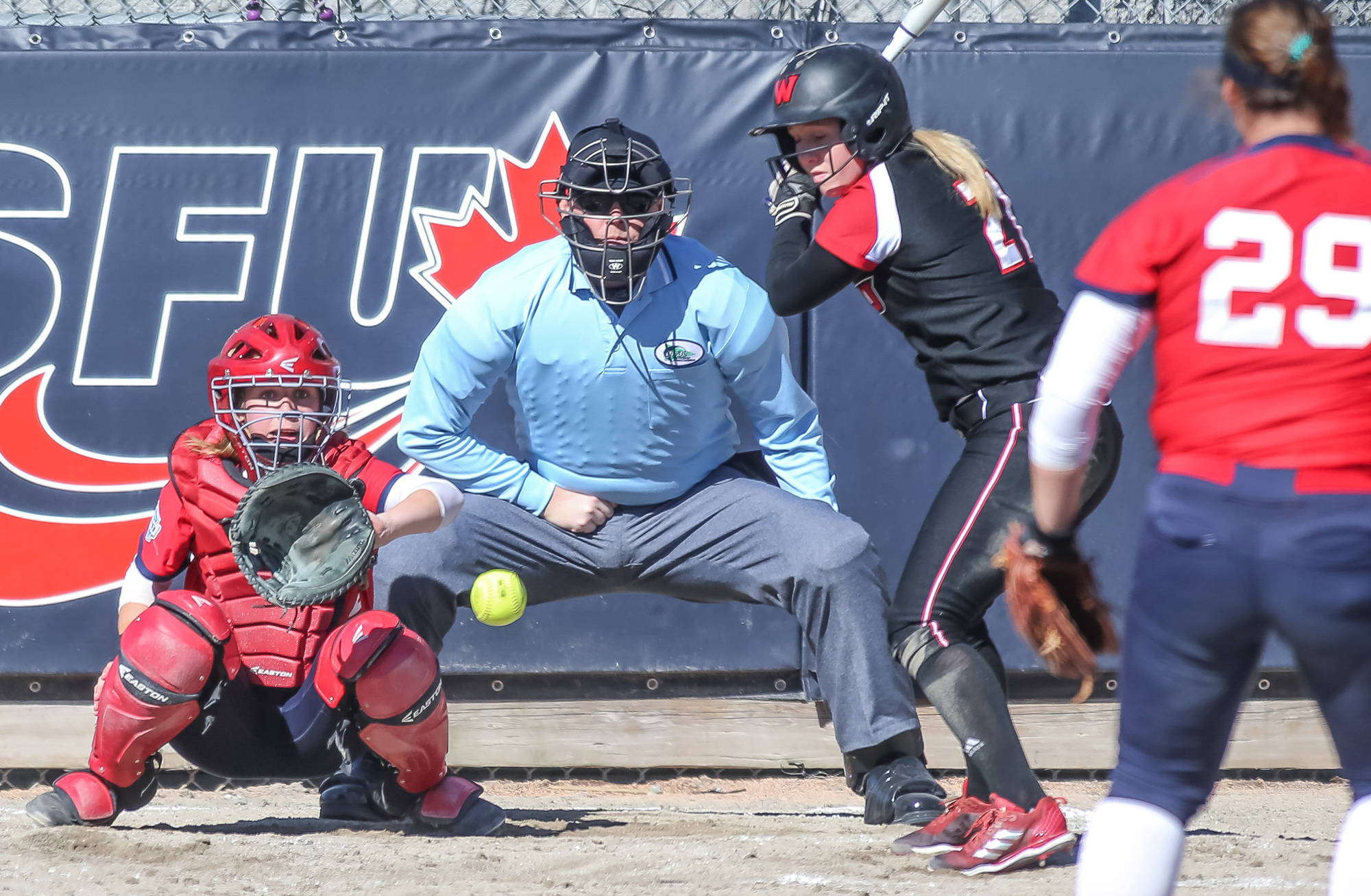 Watching the strike zone, Penticton’s Scott McLaren keeps his eye on the prize during a recent softball match he umpired at Simon Fraser University.                                Photo courtesy of SFU Athletics/Paul Yates