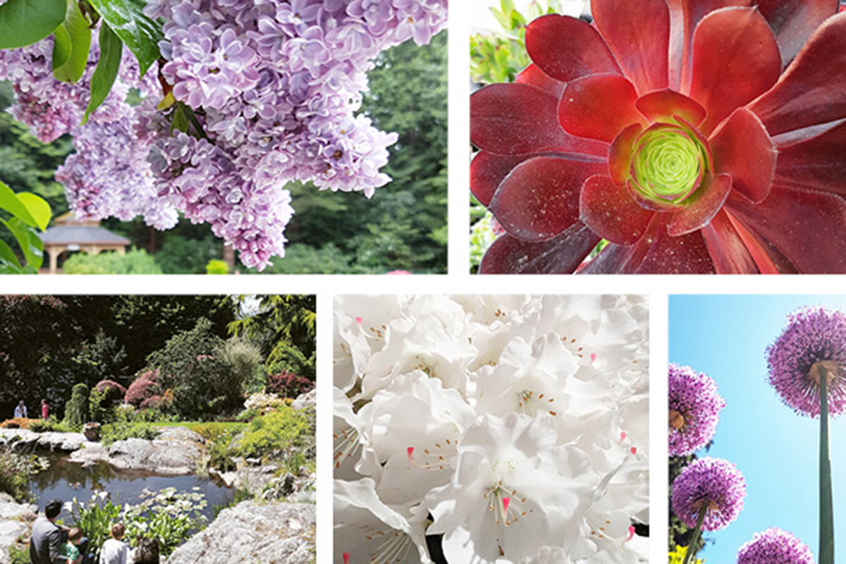 Celebrate mom, take her on a musical garden tour