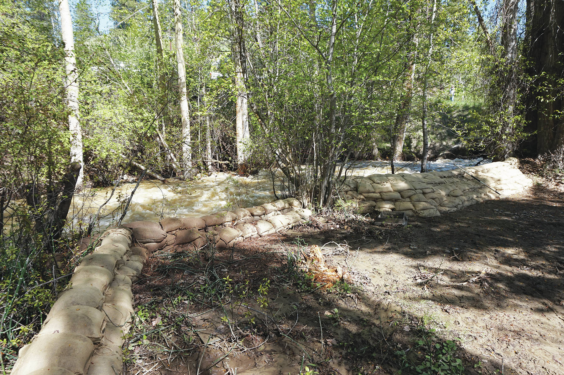 The Guersters placed more than 1,000 sandbags around their creekside home in Princeton.