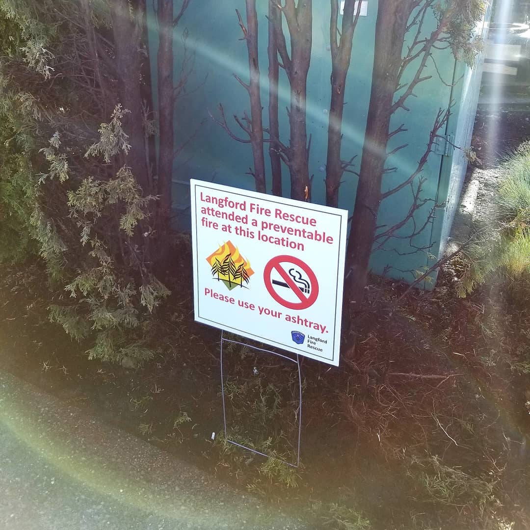 A discarded cigarette in a drive through in Langford caused cedar hedges to ignite in what could have been a dangerous fire. (Photo courtesy of Langford Fire Rescue)