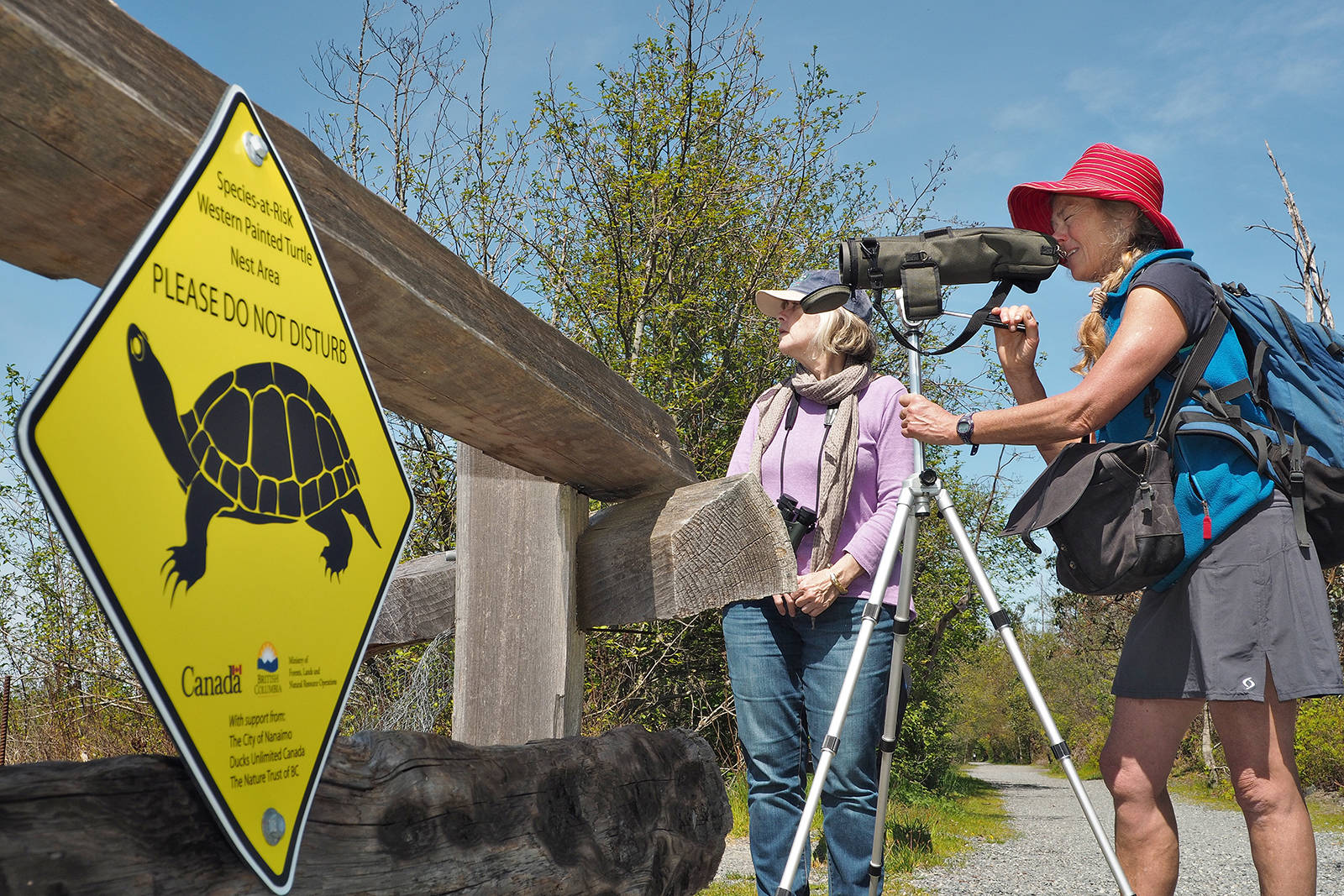 Trudy Chatwin, former species-at-risk biologist with B.C.’s Ministry of Forests, Lands and Nature Resource Operations, front, keeps an eye out for a western painted turtle at Buttertubs Marsh. She’s joined by Connie Miller Retzer, ecosystems biologist with the ministry. CHRIS BUSH/News Bulletin