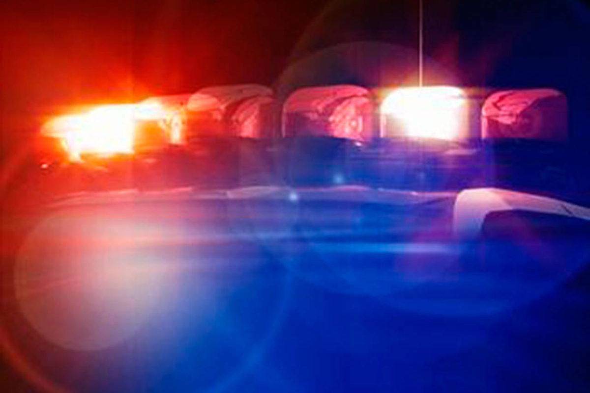 Intruder taken away by cops after entering Langford couple’s home