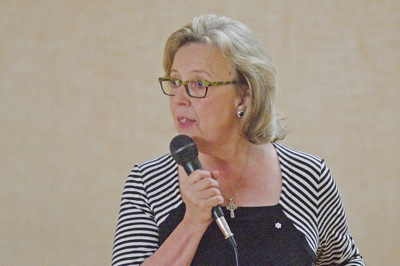 Saanich-Gulf Islands MP Elizabeth May speaking at Deep Cove Elementary School in North Saanich recently. (Steven Heywood/News Staff)