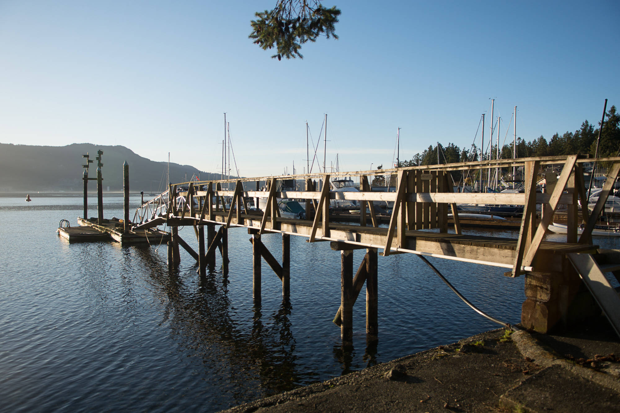 A private dock in Brentwood Bay. (Hugo Wong/News Staff)