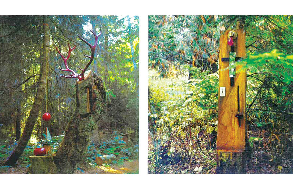 Popular Fanny Bay forest gallery closes; property sold