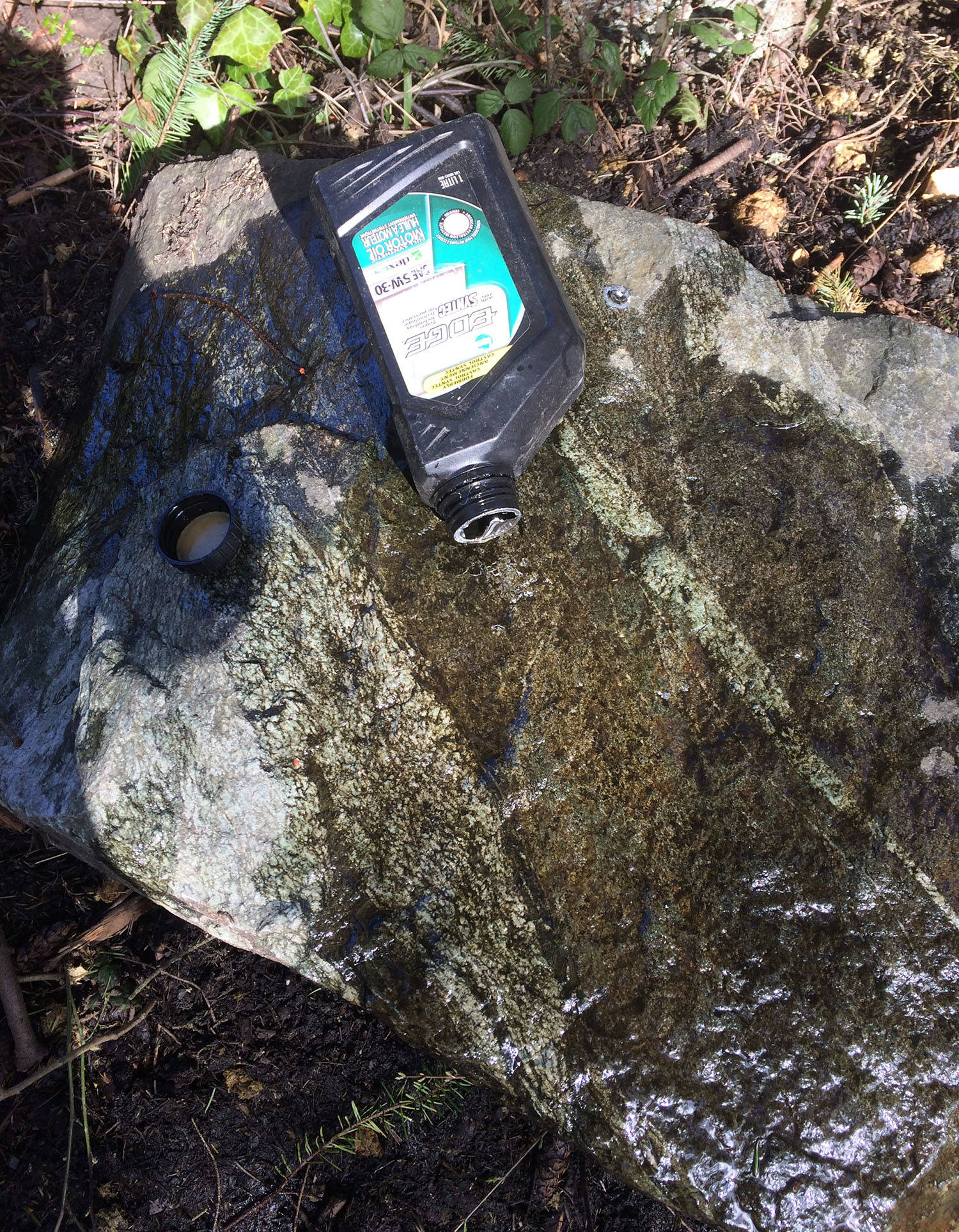 Motor oil was another of the more than 30 items dumped on the rock. (Photo submitted)