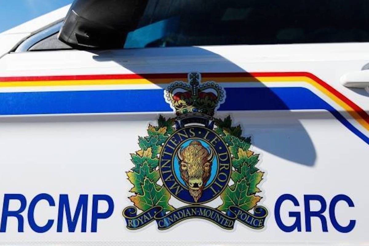 RCMP have charged Adams in relation to eight dogs found in her hotel room in Alberta. File photo