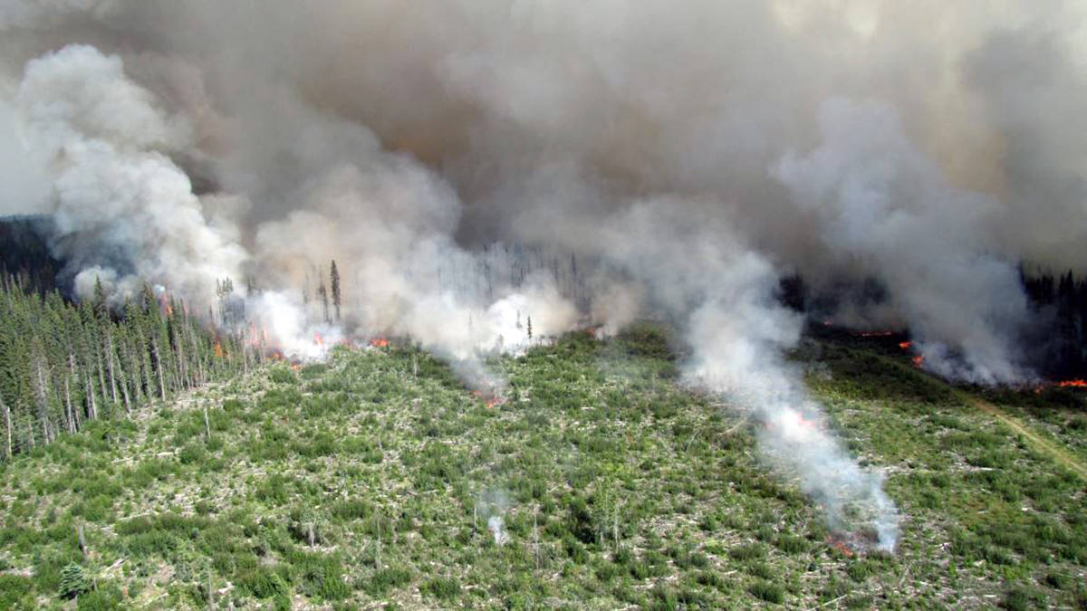 The fire, which was discovered on July 27 approximately 25 kilometres Northwest of Fraser Lake, is currently sitting at 0 per cent contained and at 5,000 hectares. (BC Wildfire Service)