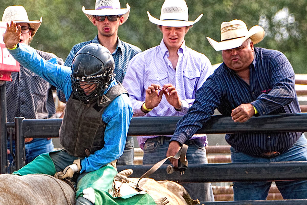 Vancouver Humane Society is complaining to Chilliwack Fair organizers after an electronic prod appears to have been used at Chilliwack rodeo. (Submitted)