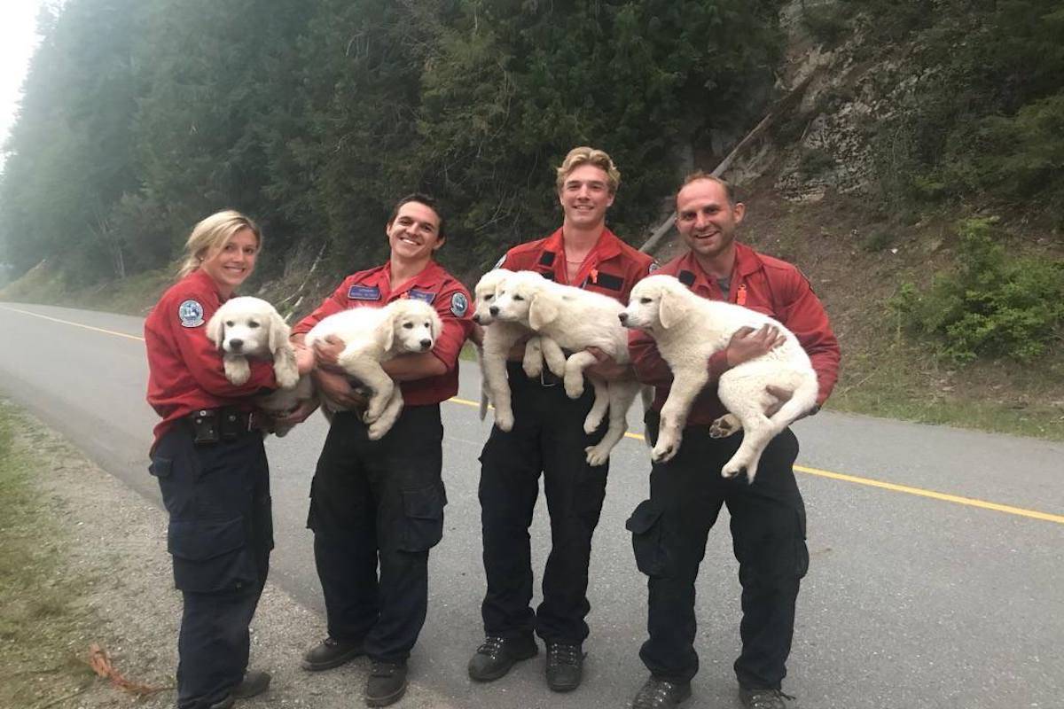 (IMAGE CREDIT: BCWILDFIRE FACEBOOK)