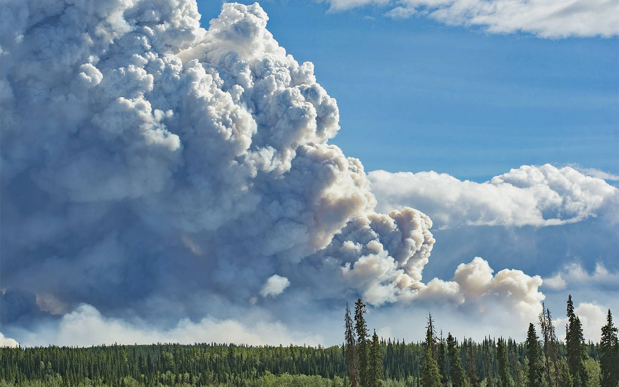 Northern B.C. community evacuated to Yukon due to wildfire