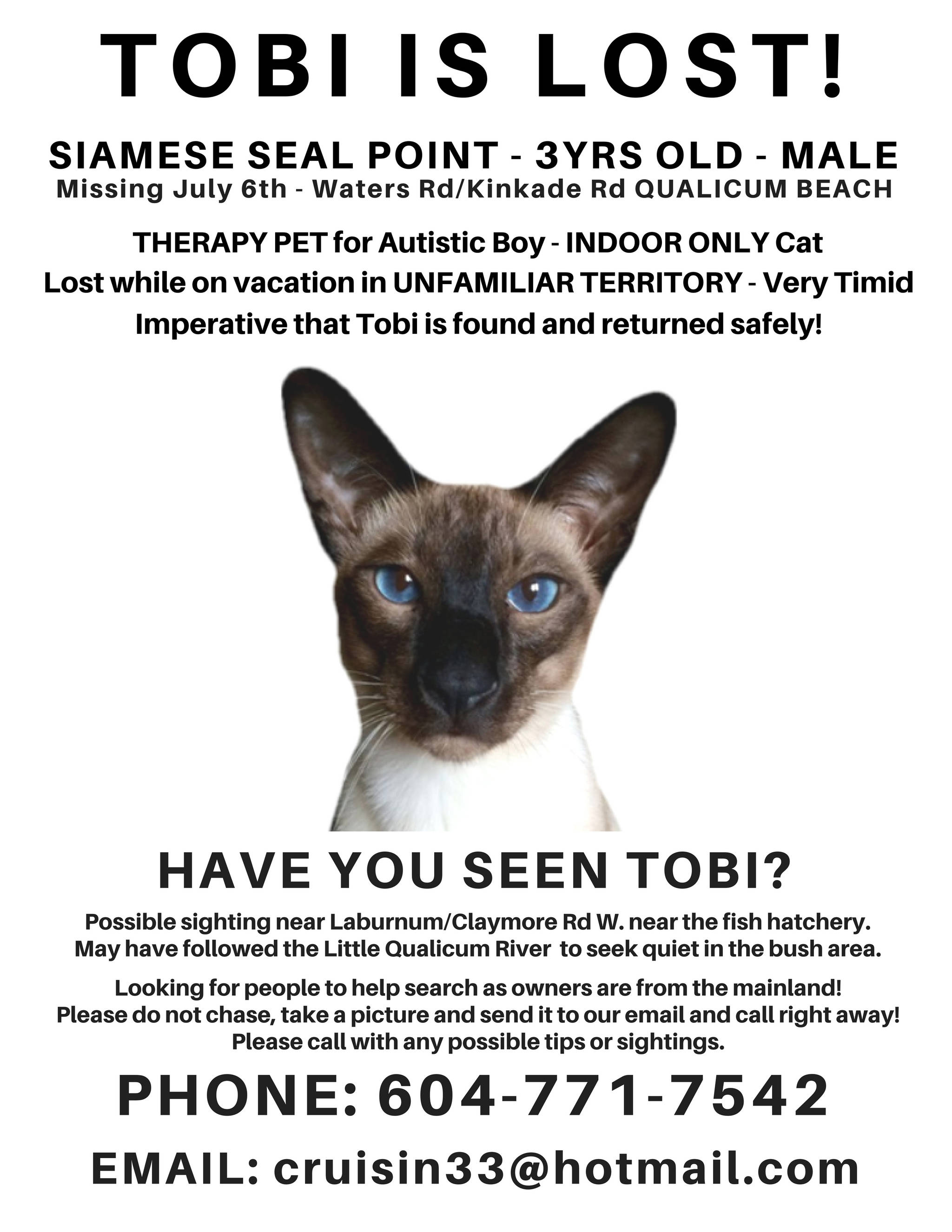 Submitted by Susan Plaus                                This is part of the latest poster that Susan Plaus is putting up around Qualicum Beach in the hopes of retrieving lost Siamese Seal Point cat Tobi, who helps her son cope with a difficult genetic condition.