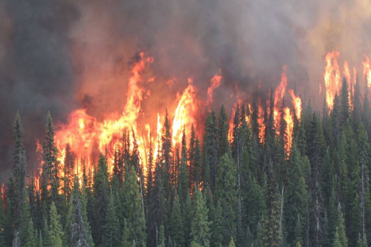 Emergency response firm owner shares his side of B.C. wildfire decision