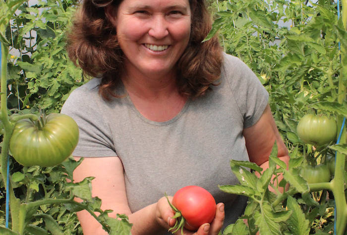 Growing the South Island: Robin Tunnicliffe, Sea Bluff Farm
