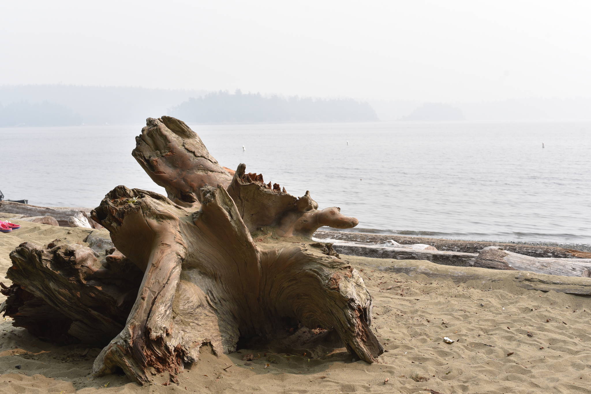 A photo captured on Aug. 21 shows Transfer Beach at the height of wildfire smoke passing through the area. (Mike Gregory Photo)
