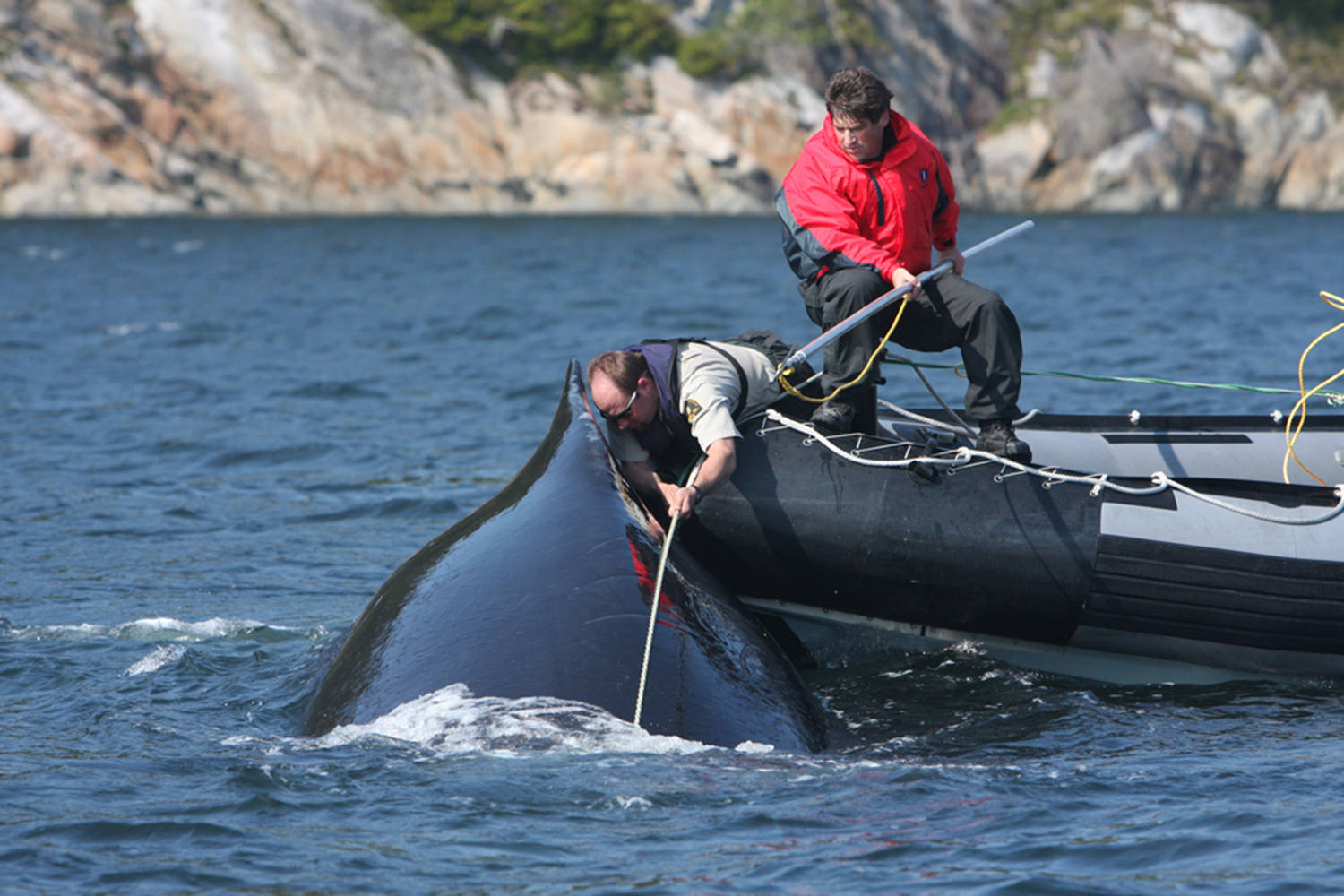 Paul Cottrell, wearing the red jacket, helping to disentangle a humpback whale. (Photo submitted)