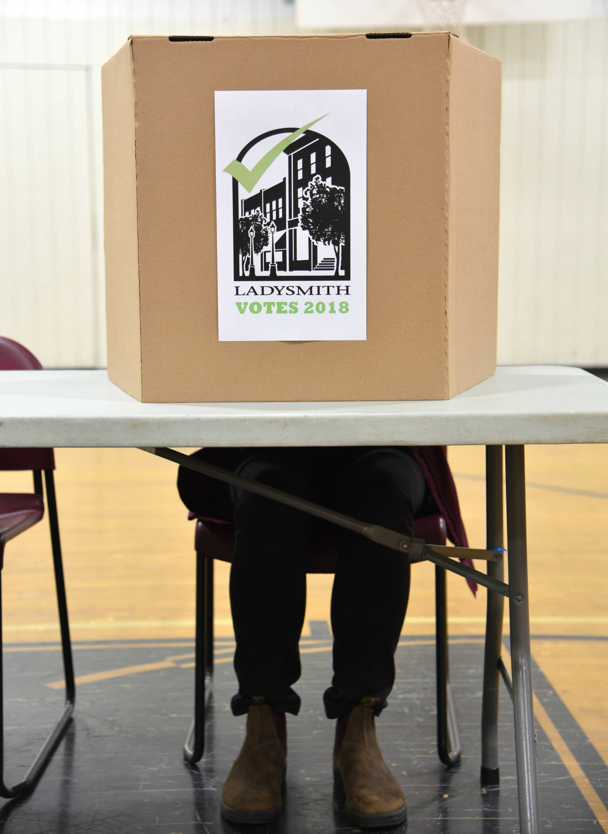 There were 6,662 eligible voters in the Town of Ladysmith. (Mike Gregory Photo)