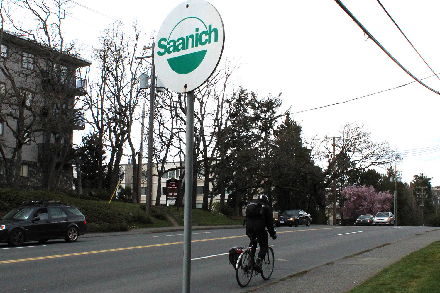 Voters in Saanich and Victoria support creation of citizens’ assembly on amalgamation
