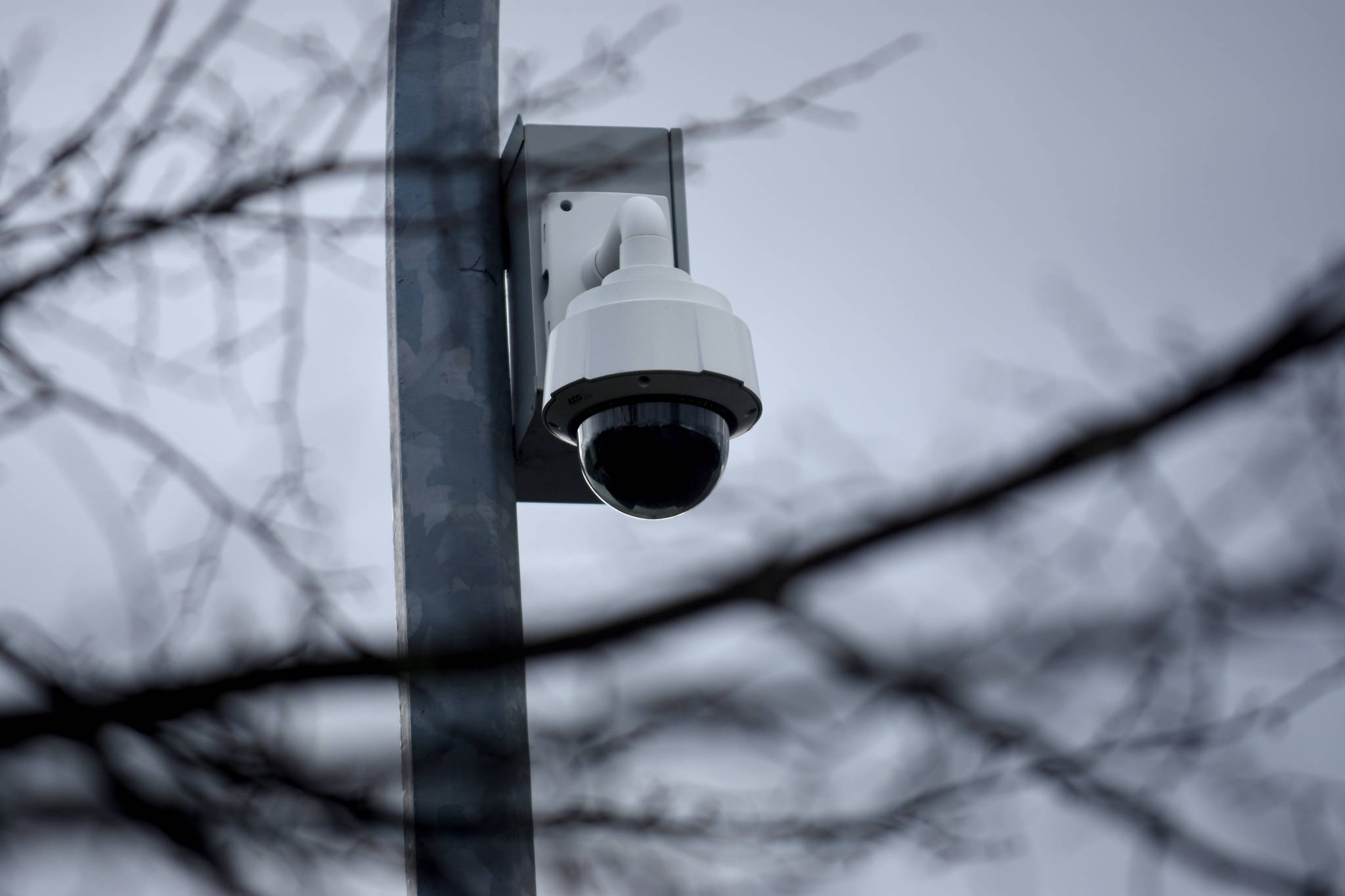 VicPD uses cameras to monitor Remembrance Day crowds