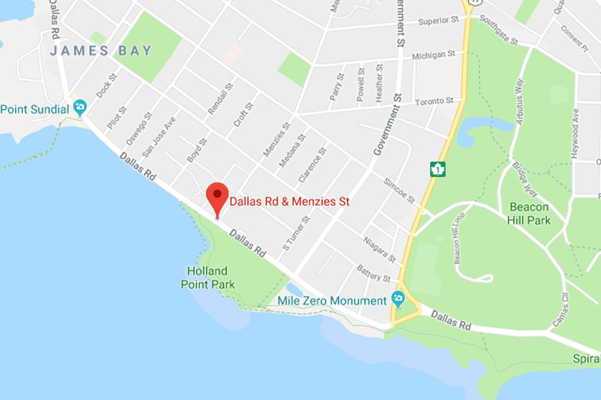 A dog was killed in a hit-and-run after being struck in a crosswalk at the Dallas Road and Menzies Street intersection on Nov. 9. (Google Maps)