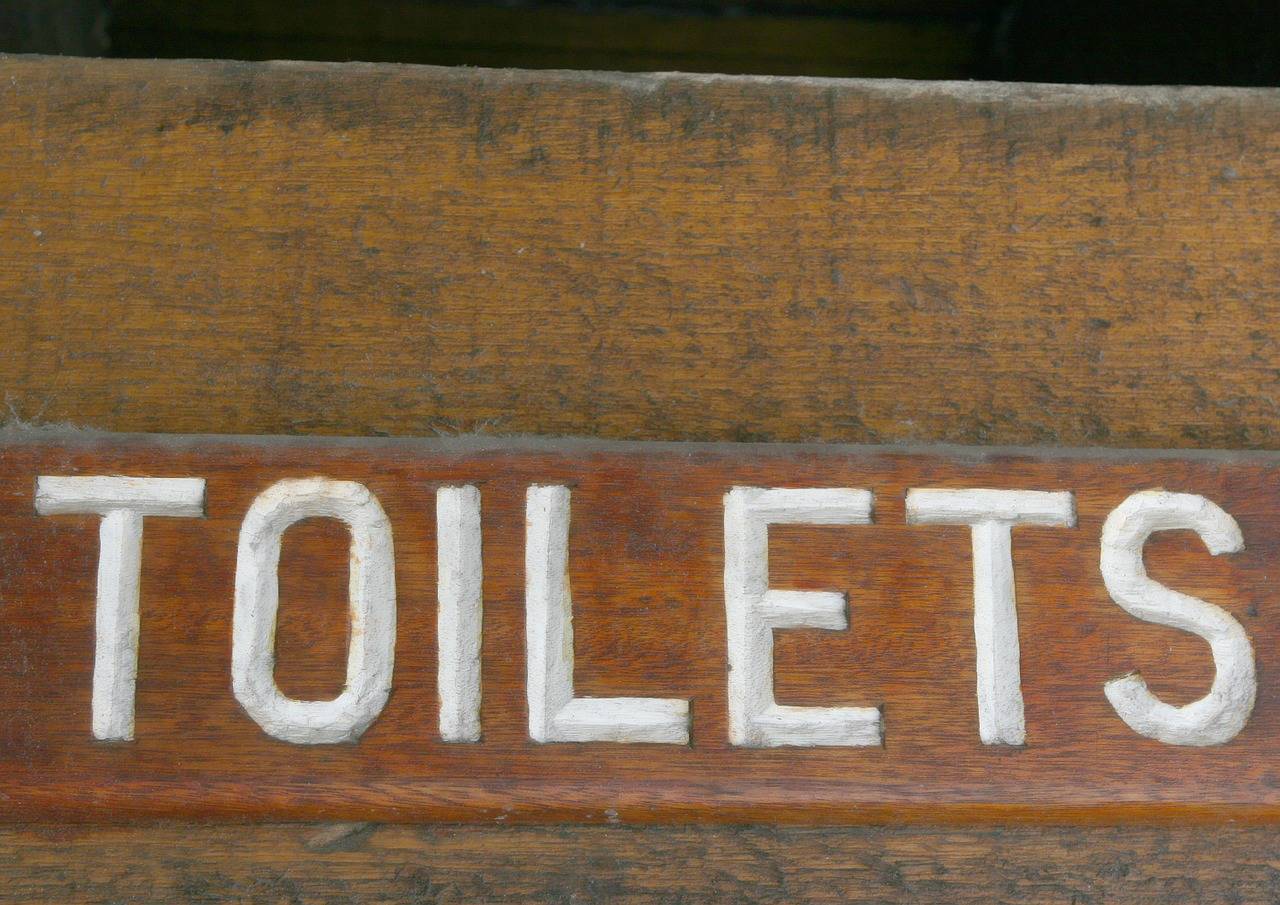 Is Vancouver Island flush with safe toilet access?