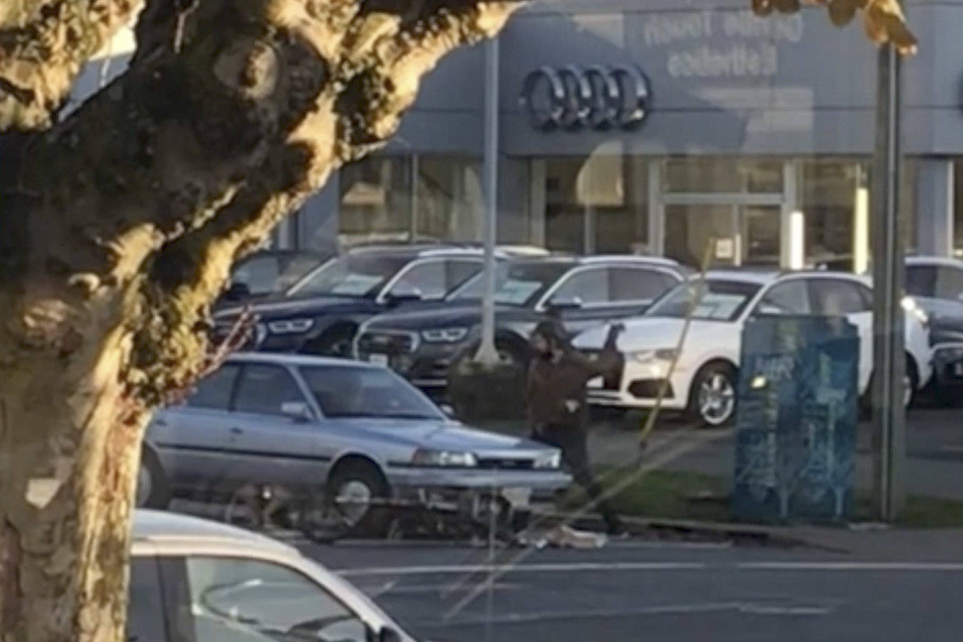 A man allegedly throws his own feces at a vehicle in Victoria. (Photo courtesy Reddit)