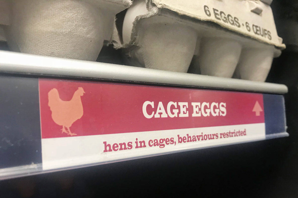 Signs at the egg section in Victoria’s Save-On Foods describe conditions the hens are kept in. (Keili Bartlett/News staff)