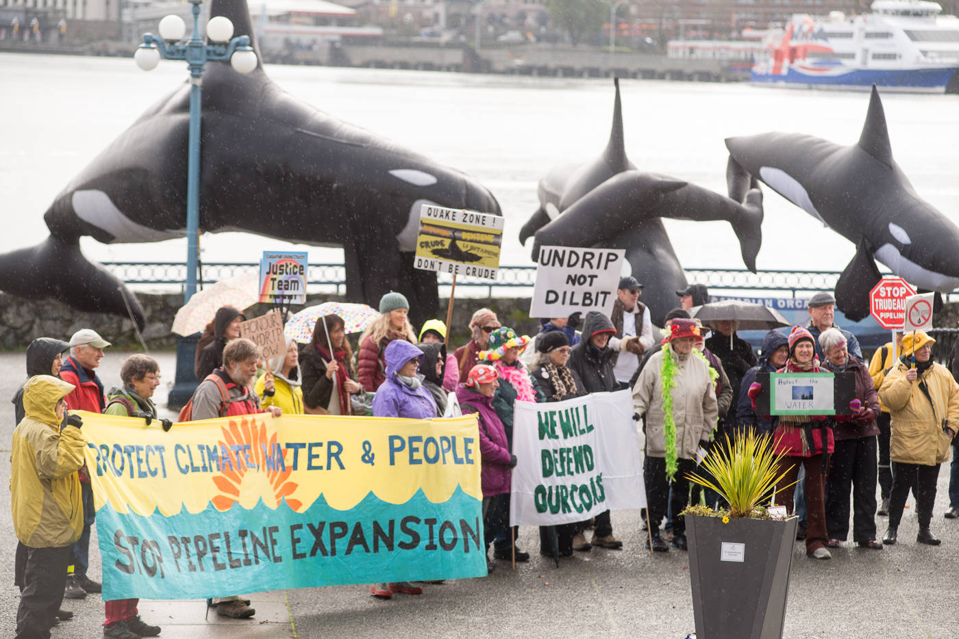 The protesters, organized by Heather Tufts and Bobby Arbess with the help of grassroots organizing collective Rise and Resist, questioned the validity of “reconsideration” citing Prime Minister Justin Trudeau’s repeated declarations that the project will go through. (Keri Coles/News staff)