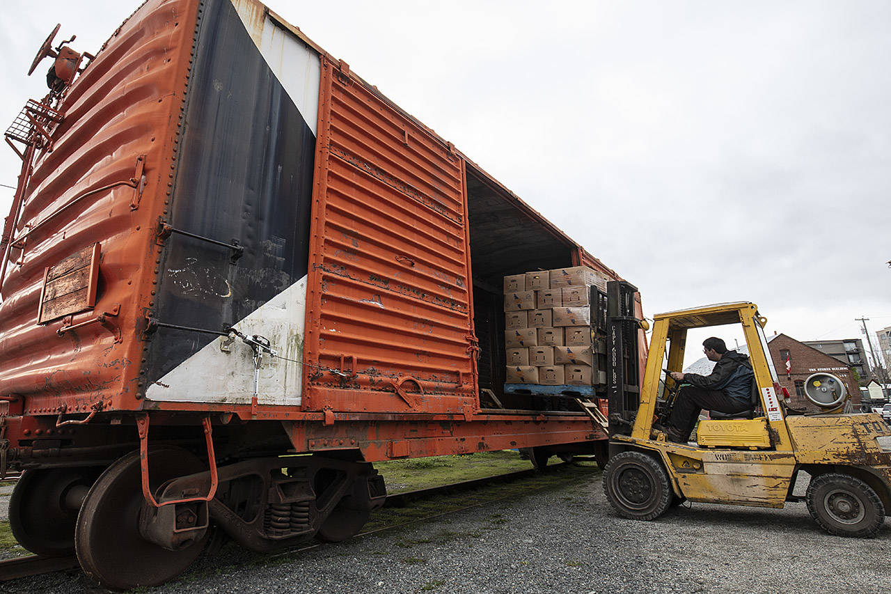 James Sturgill Jr. loads a pallet of approximately 2,000 pounds of potatoes into a boxcar at The Bayview Roundhouse in Vic West. (Arnold Lim/Black Press)