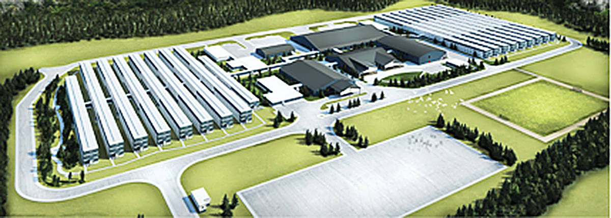 Civeo pulls out of LNG Canada worker camp agreement
