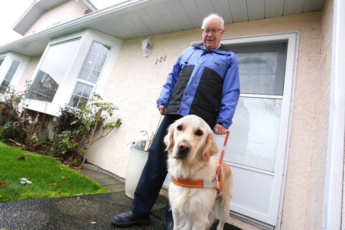 Charles Mossop is ready to head out on a stroll with his new guide dog, Baker, named for a co-founder of the Canadian National institute for the Blind, Col. Edwin Baker. Baker is one of the first guide dogs to come out of the CNIB’s new guide dog program. — Adam Kveton Photo