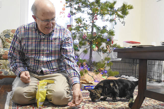 Rescued B.C. cat with misshapen legs in need of forever home – with carpet