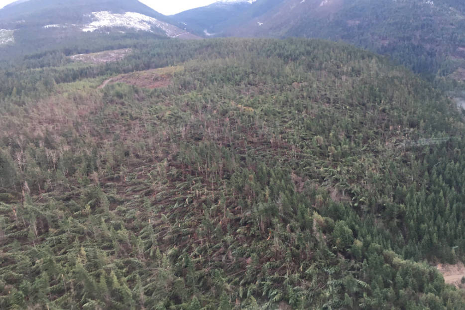 A BC Hydro crew member captured a photo of the extensive number of fallen trees in the Whiskey Creek/Hilliers area following a Dec. 20 windstorm. - BC Hydro photo