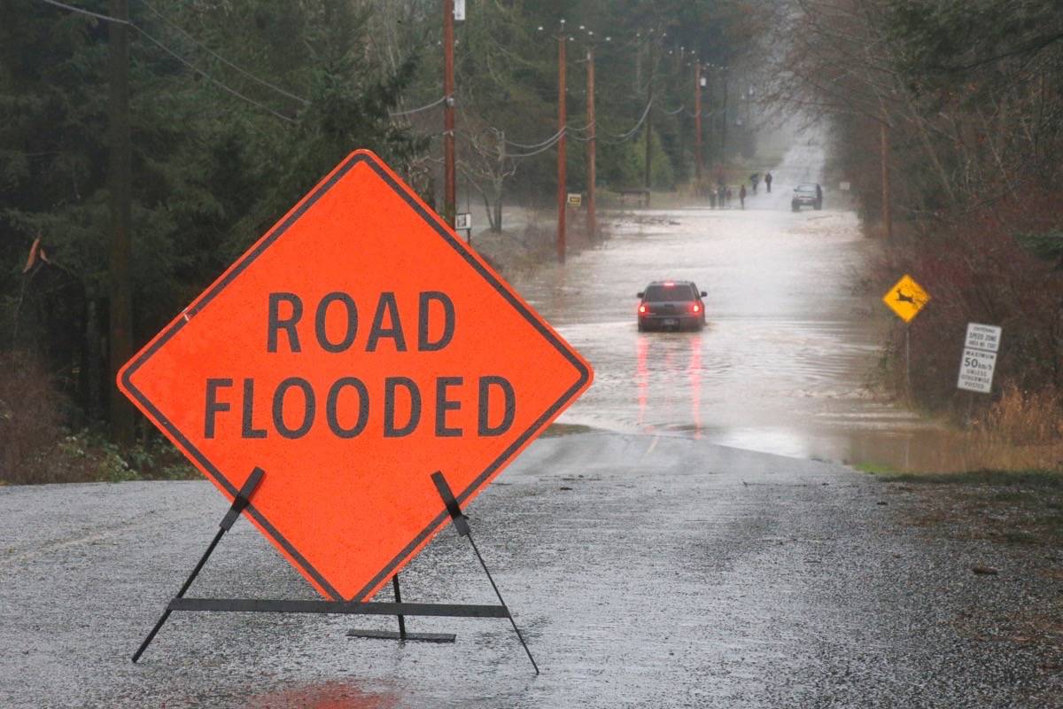 A driver makes their way through the flooding on Martindale Road today (Jan. 3) in Parksville. — Adam Kveton Photo