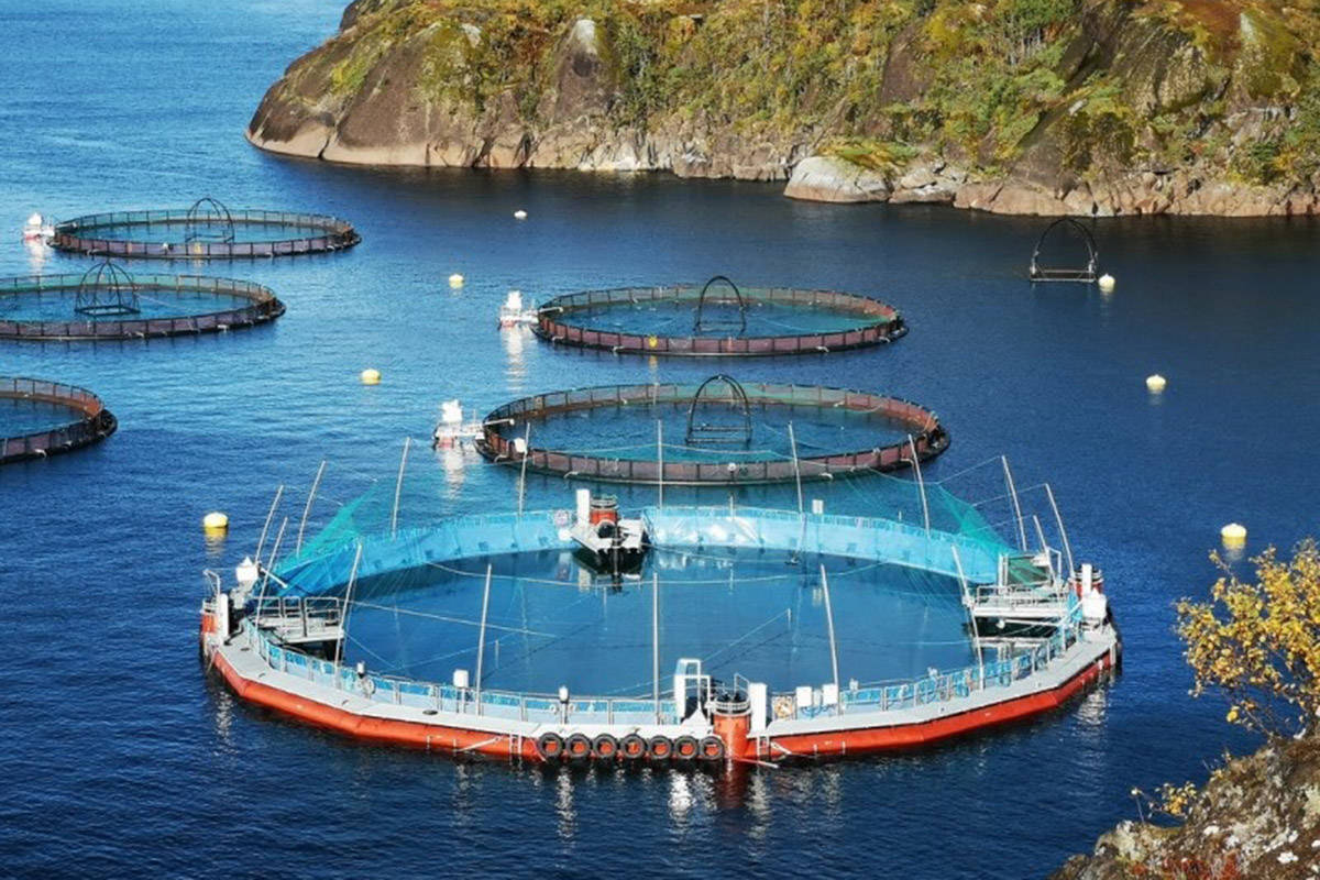 Cermaq provided this photo of its experimental fish farming system in the waters of northern Norway. The structure in the foreground uses a tarp-like barrier to enclose it from the marine environment, according to the company.
