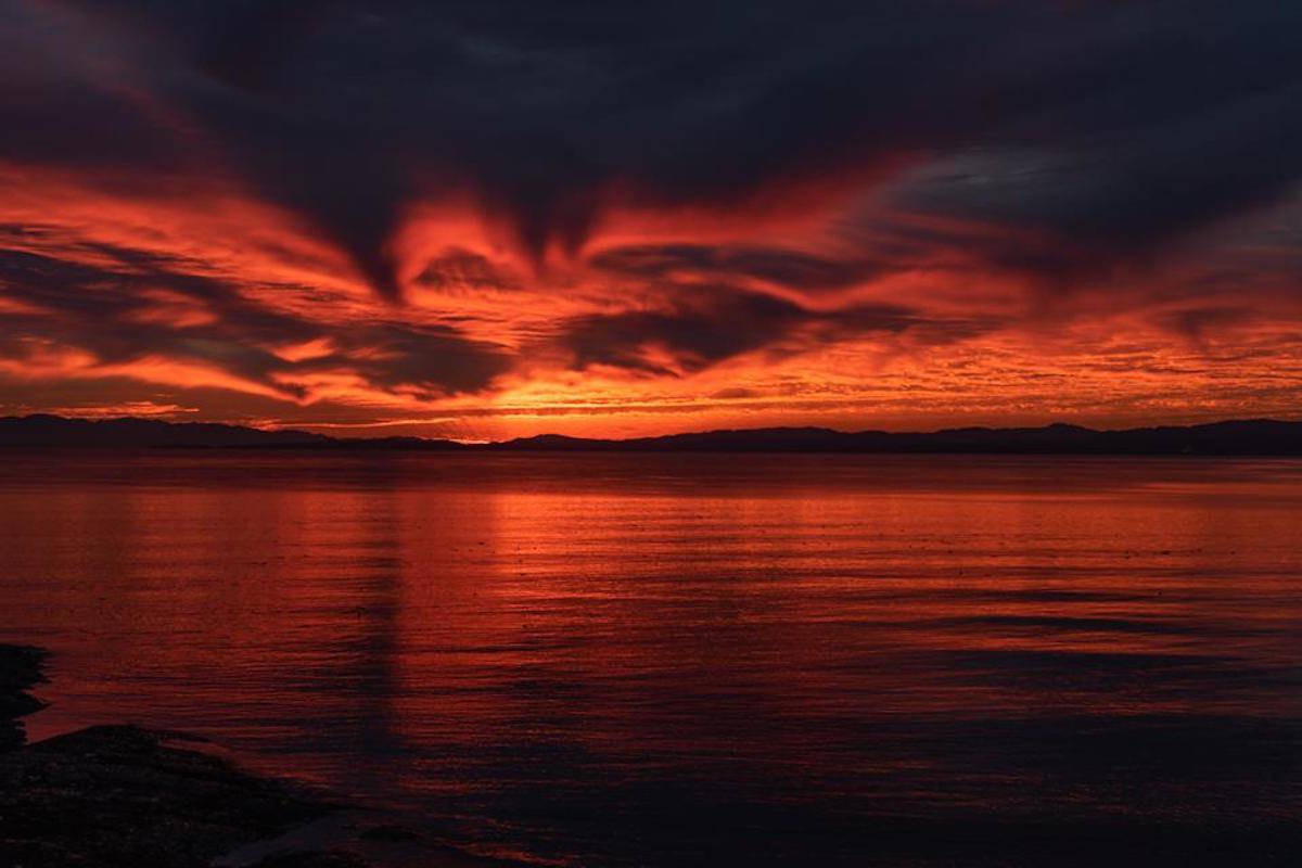 (Facebook/Destination Greater Victoria)