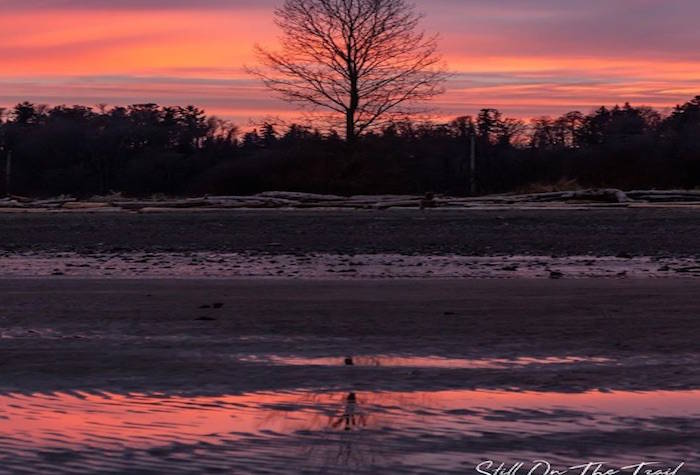 (Facebook/Still On The Trail Photography)