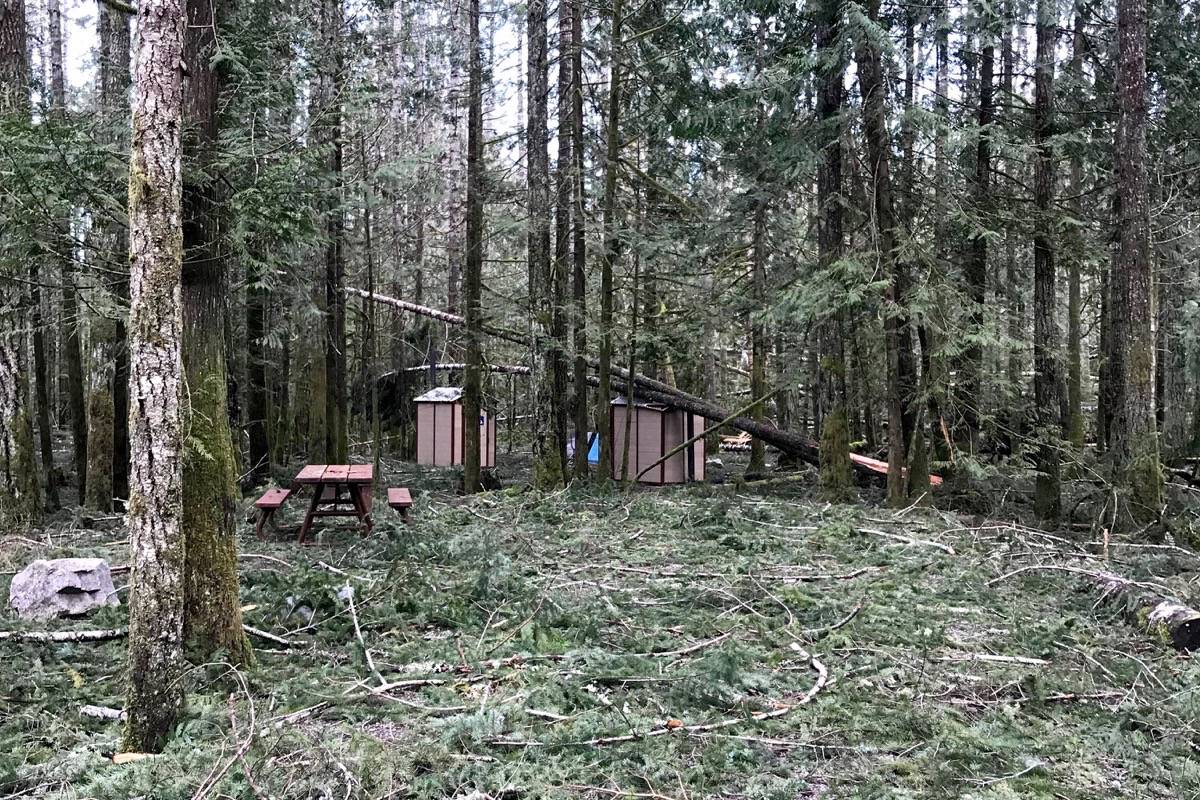 This image shows just some of the damage sustained by Little Qualicum Falls and MacMillan provincial parks by the December windstorm. Crews continue to assess damage, leaving Little Qualicum Falls fully closed, as well as a portion of MacMillan park. — Submitted by David Karn